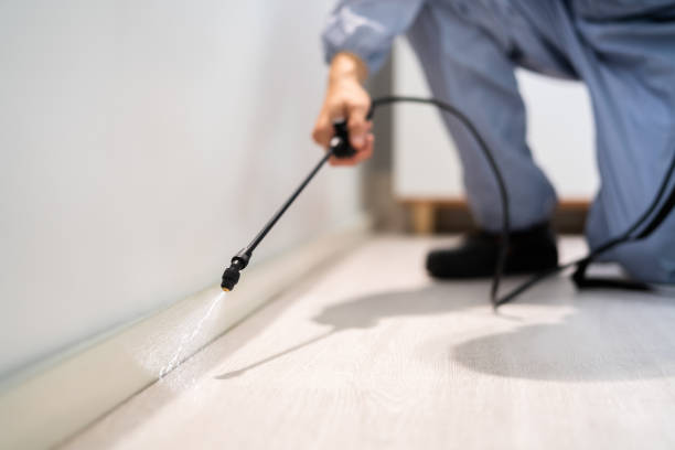 Bed Bug Pre-Treatment Preparation Assessment in Pacific