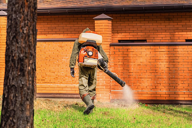 Bed Bug Clearance Verification and Documentation in Pacific